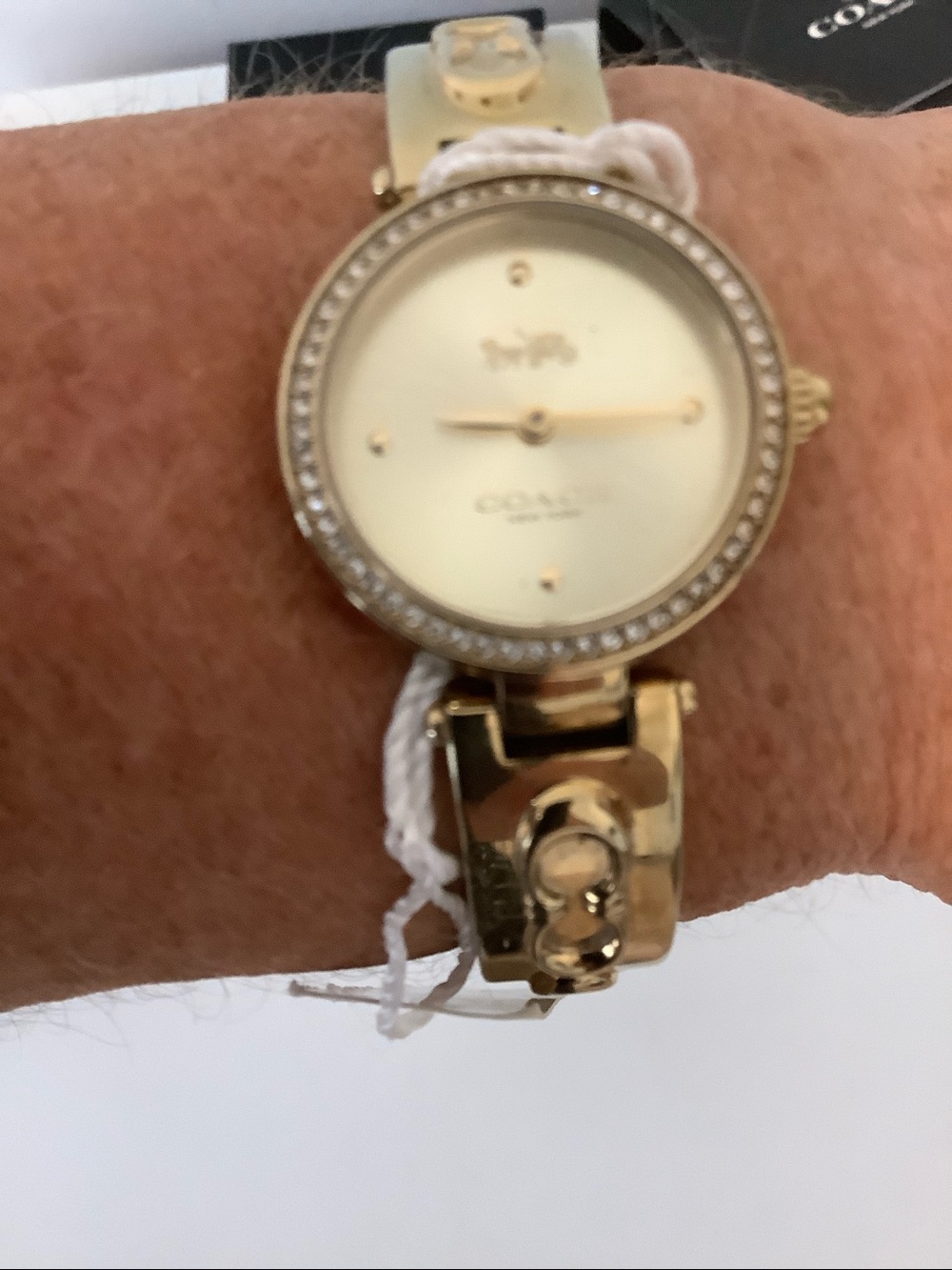 Coach Watch - Picture 2 of 9